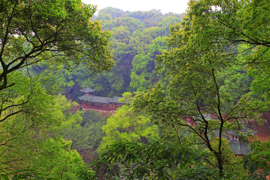 乐山乌尤山