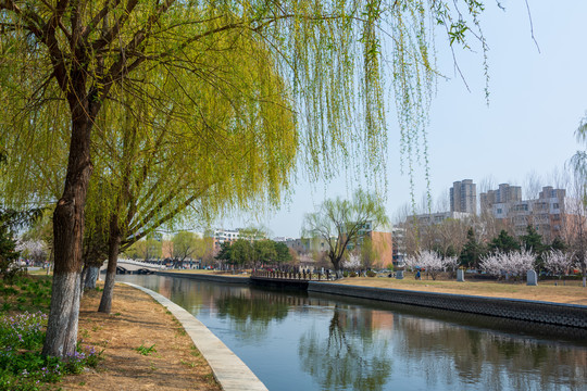 盛京碑林公园