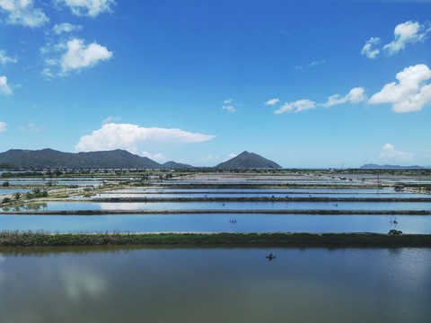 高铁窗外的水塘风光