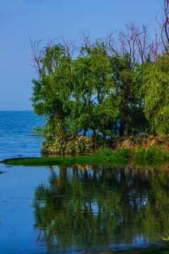 云南滇池湿地