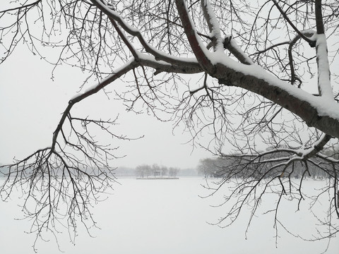 雪景