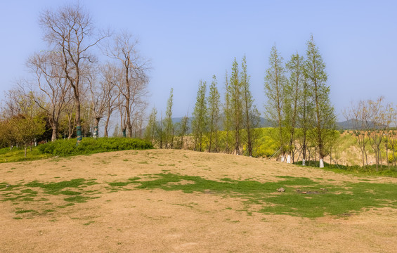 山丘