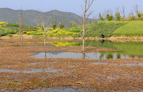 苏州丽波湾