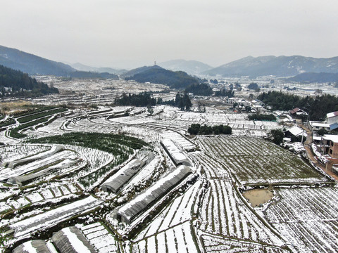 乡村田园农业种植农田雪景