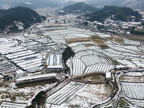 农业种植农田梯田雪景