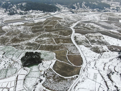 农业种植农田雪景