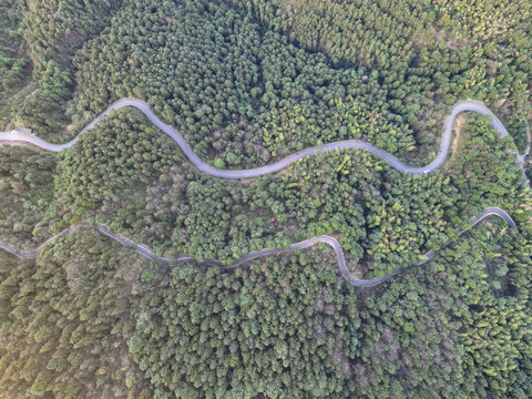 森林蜿蜒盘山公路