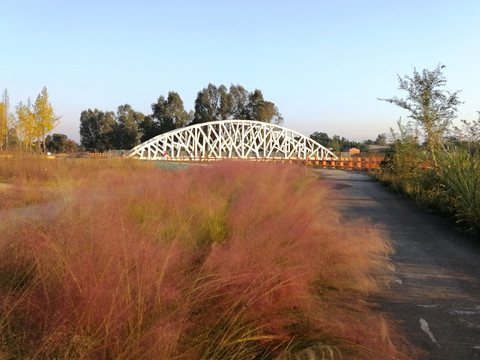 成都玉石湿地公园白色拱桥