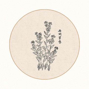 茅香
