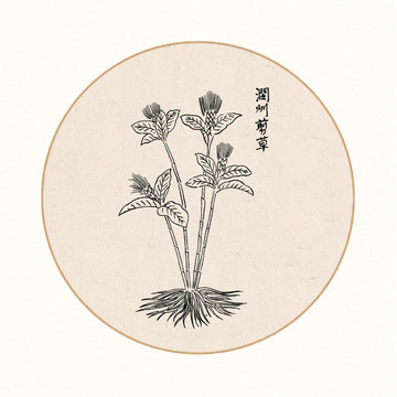 剪草