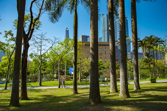 市民中心的风景