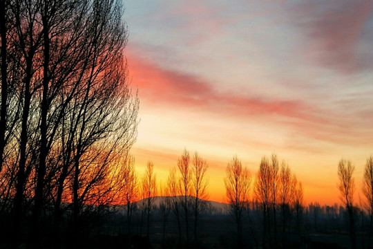 夕阳远山树影背景