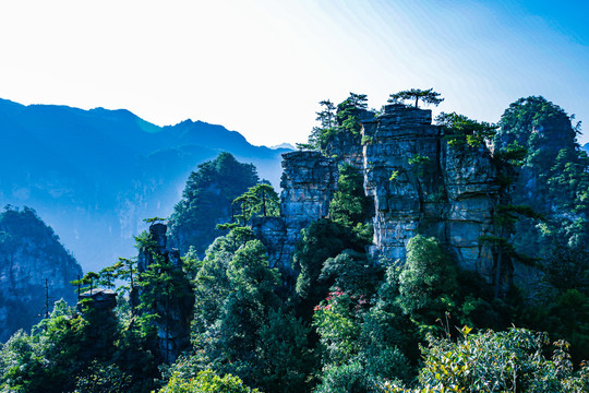 张家界天子山