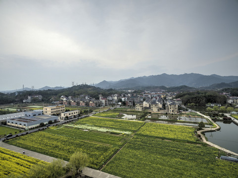 浙江兰溪岩头村油菜花田航拍