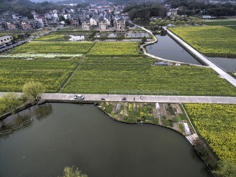 浙江兰溪岩头村油菜花田航拍