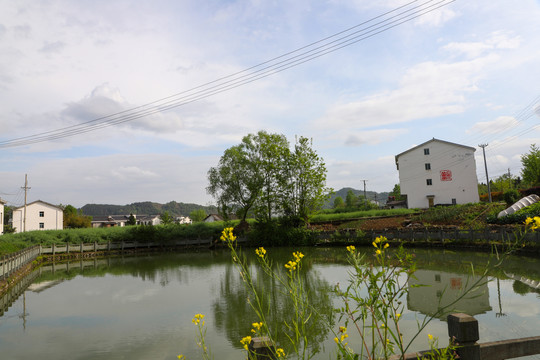 县河明家湾池塘