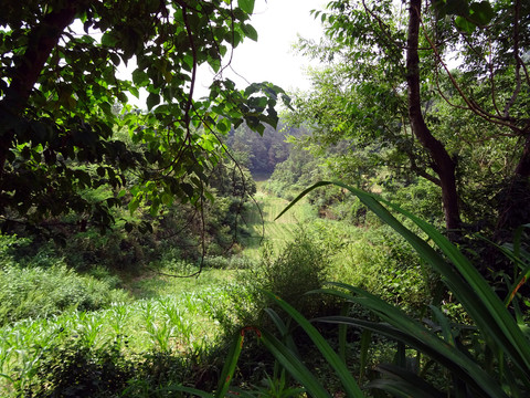 同心段家湾村