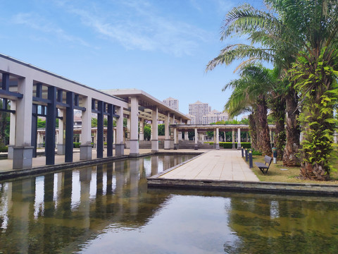 水塘椰树公园建筑