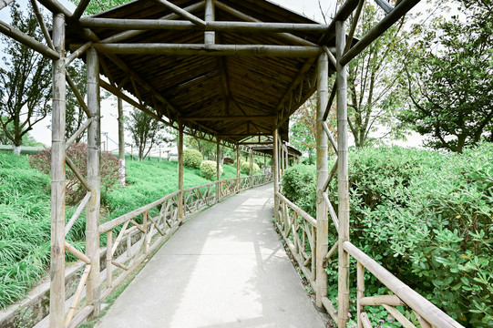 中式竹子长廊