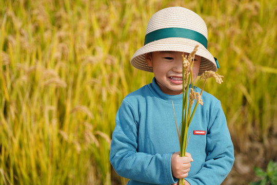 水稻田里戴帽子的男孩