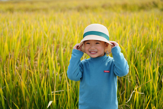 水稻田里戴帽子的男孩