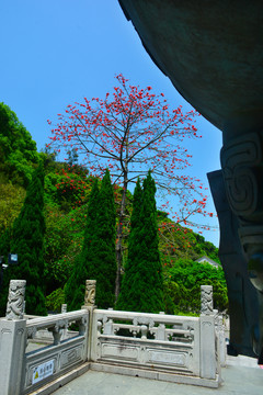 宝鼎园风景