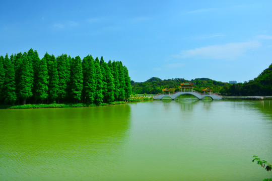 肇庆星湖风景