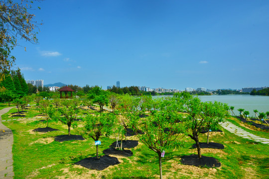 桃花岛风景