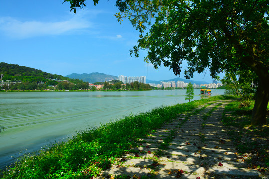 仙女湖风景