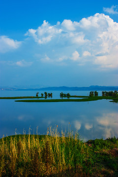 云南滇池湿地风光