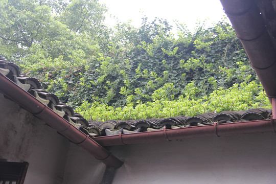 同里