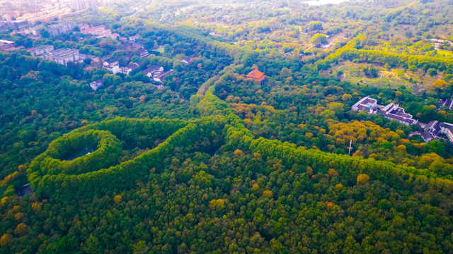 南京钟山风景区