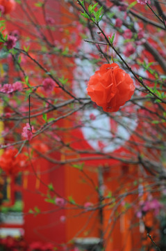 春节挂饰