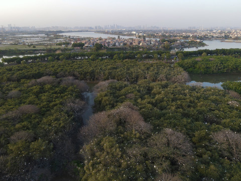 勒北鲤鱼沙原生态水乡