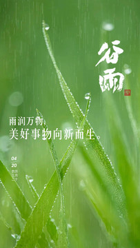 二十四节气谷雨海报