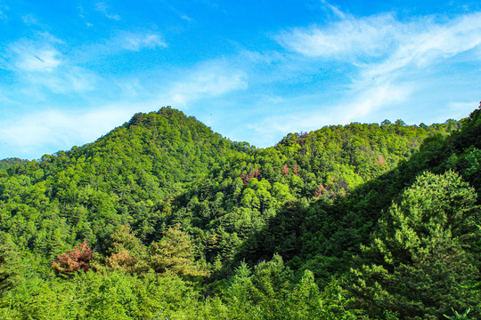 秦岭太平峪太白山