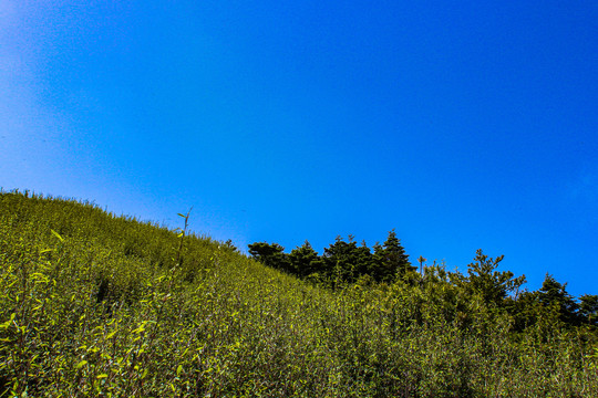 秦岭紫阁峪