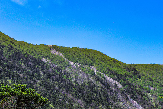 太白山