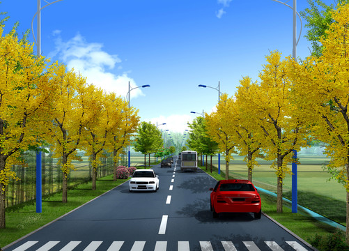 道路树木景观绿化
