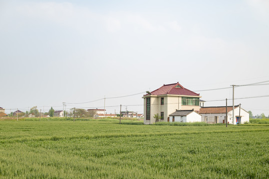 农村田野住宅