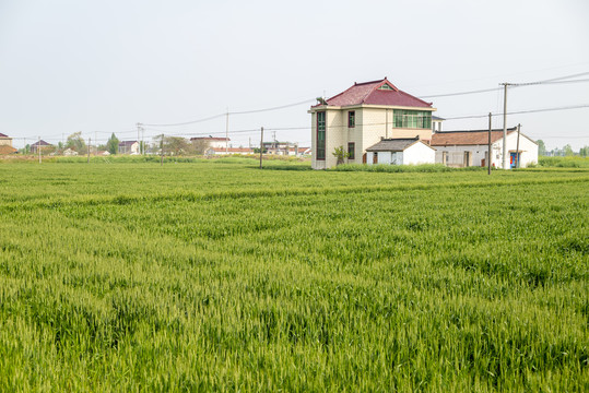 农村田野住宅