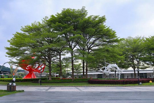 广州体育馆广场的绿树