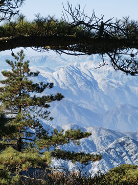 黄山群峰顶