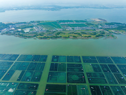 江苏苏州阳澄湖大闸蟹养殖基地