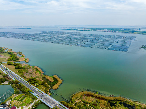 江苏苏州阳澄湖大闸蟹养殖基地