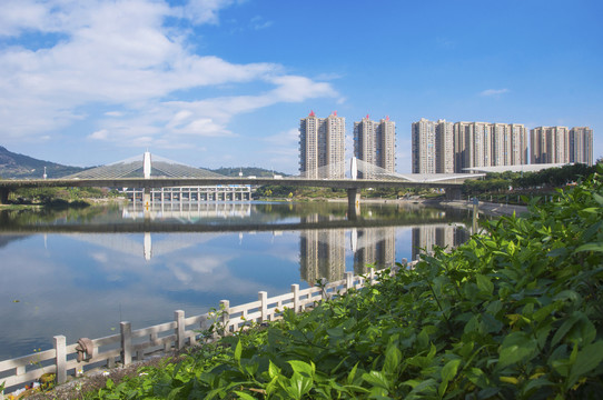 城市宜居环境风景