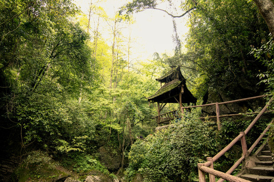 四川成都青城山