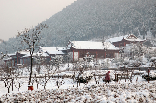 雪景