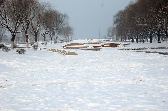 雪景