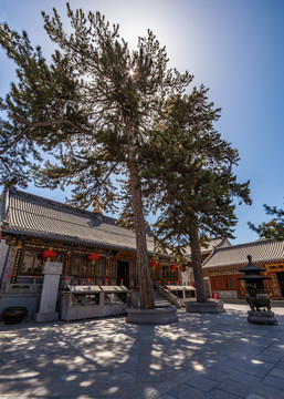 五台山黛螺顶寺庙古建